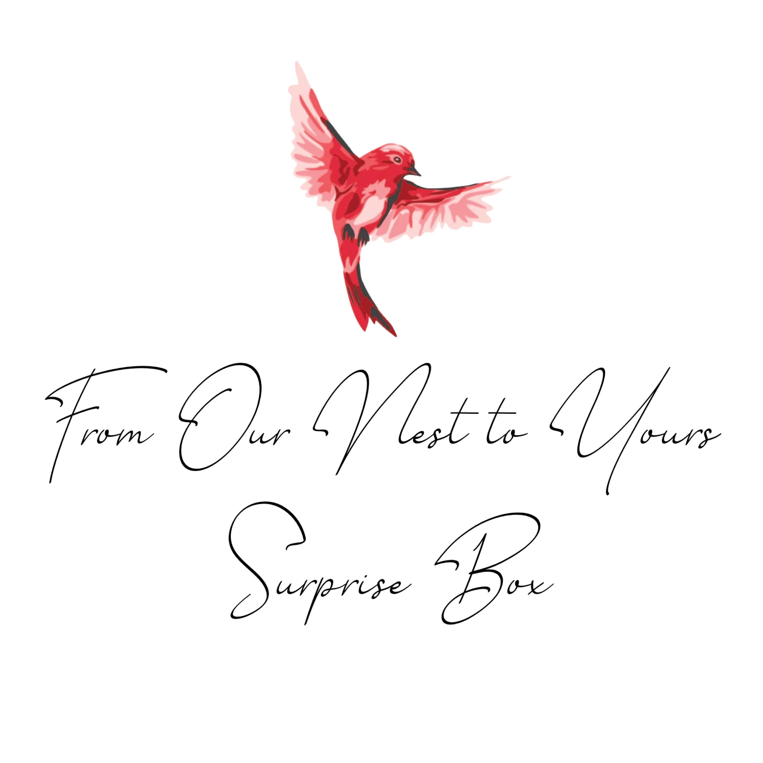 From Our Nest to Yours $50 Surprise Box