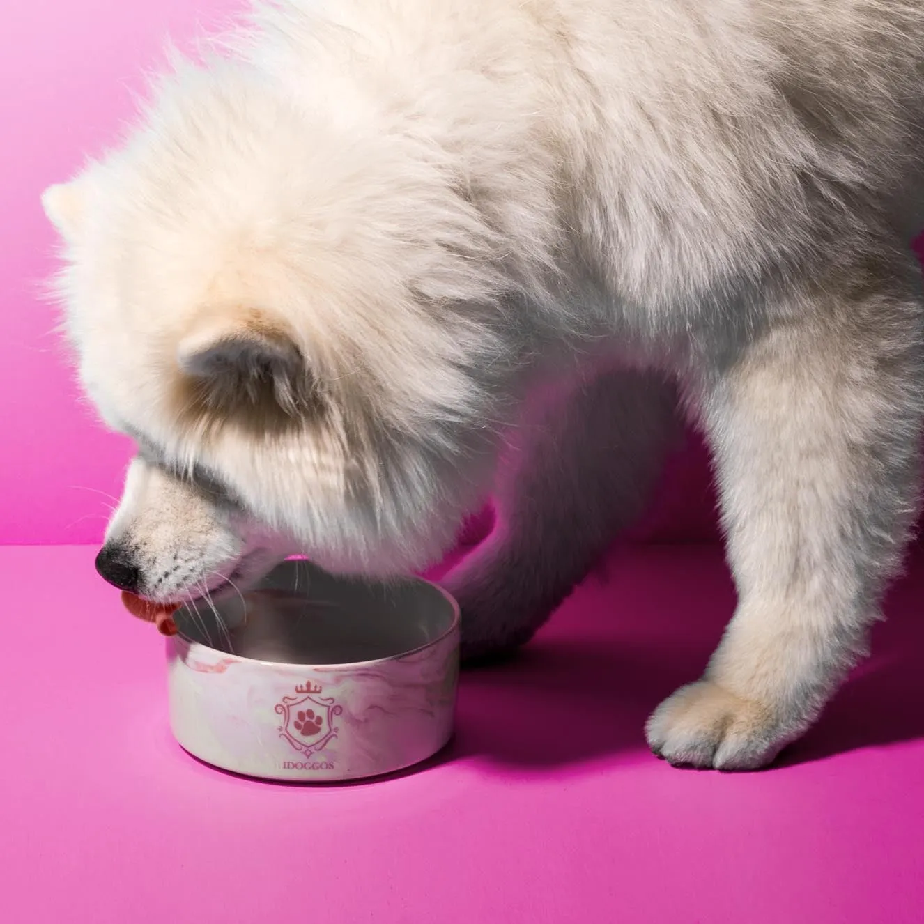 Pink Marble Dog Bowl