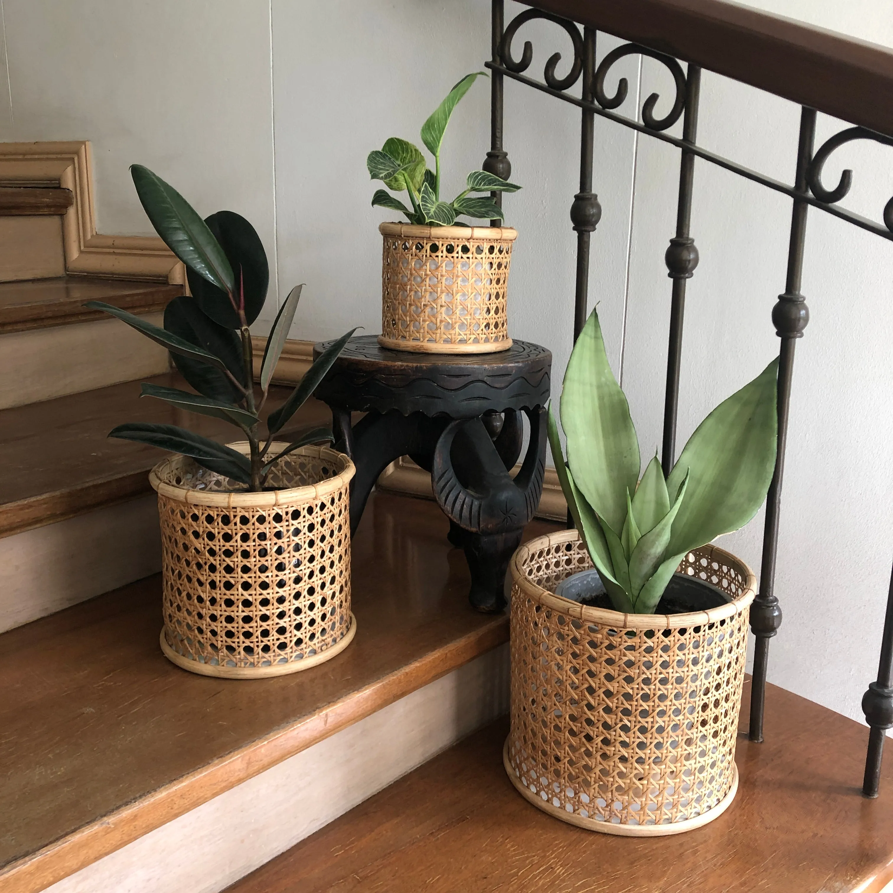 Solihiya Planter Sleeves in Medium